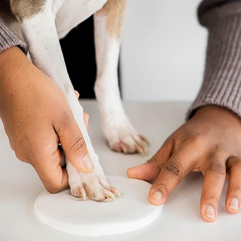 🎉Limited Time Buy 1 Get 1 Free🎉Clay Pet Paw Impression Moulding Kit-7