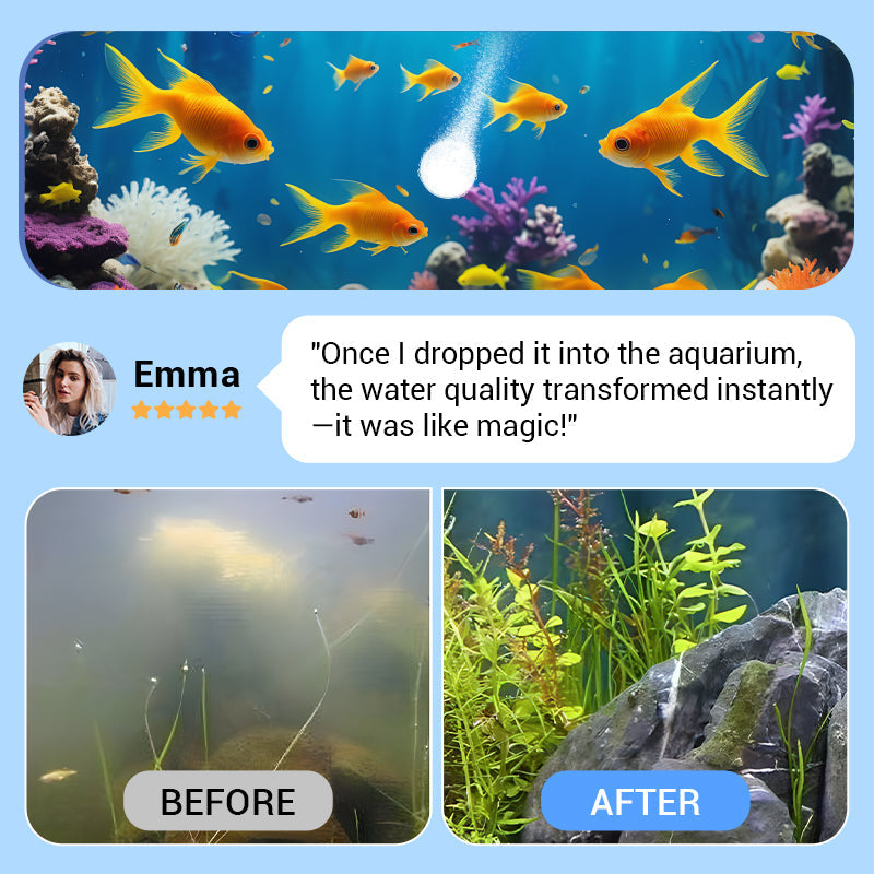 ✨️BUY 1 GET 1 FREE✨️Powerful Aquarium Water Purification Tablet-2