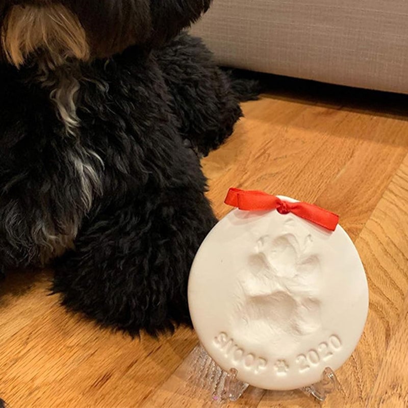 🎉Limited Time Buy 1 Get 1 Free🎉Clay Pet Paw Impression Moulding Kit-9