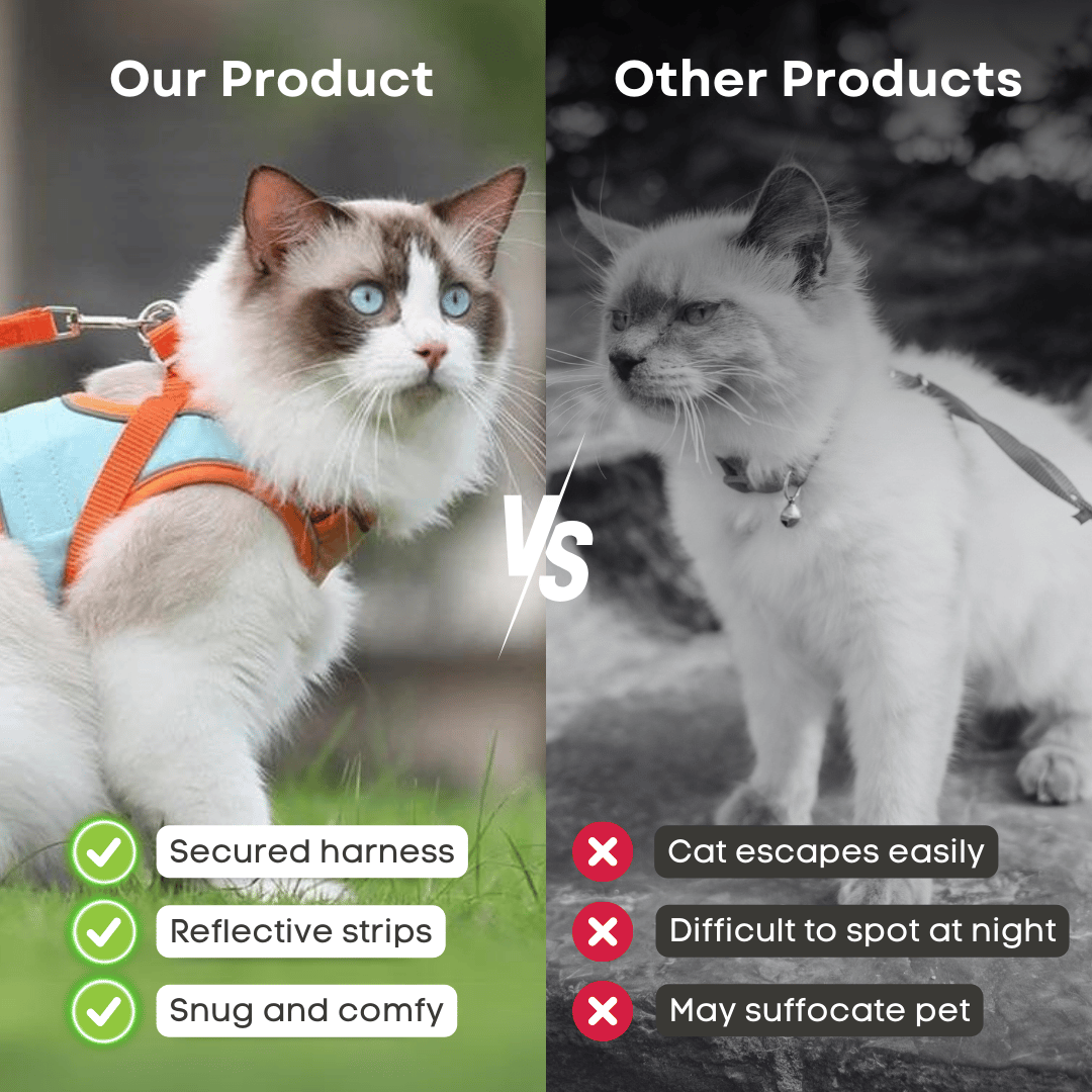 🔥Last Day Sale 50% OFF🔥Cat Harness & Leash-4