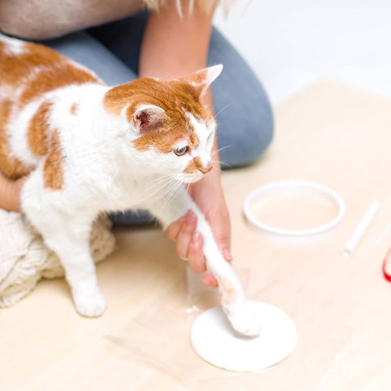 🎉Limited Time Buy 1 Get 1 Free🎉Clay Pet Paw Impression Moulding Kit-8