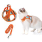 🔥Last Day Sale 50% OFF🔥Cat Harness & Leash-9