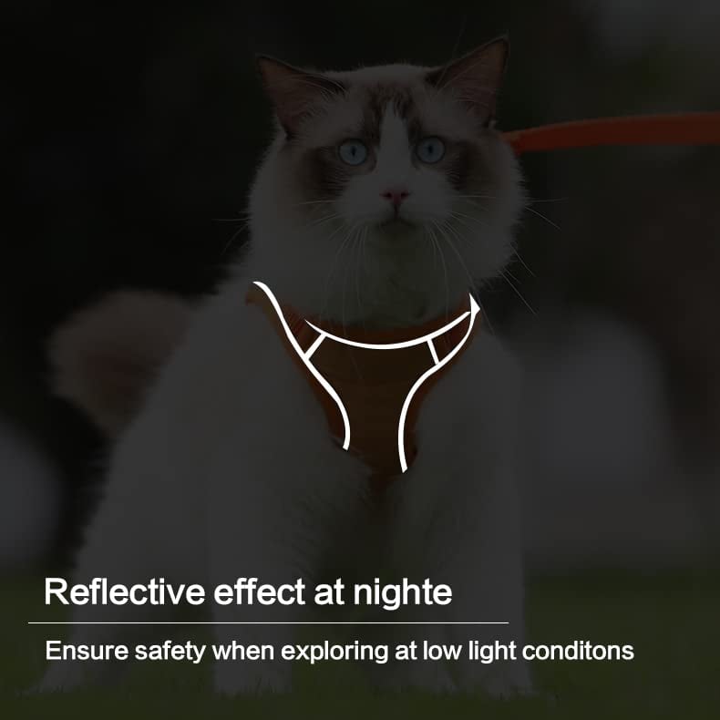 🔥Last Day Sale 50% OFF🔥Cat Harness & Leash-3