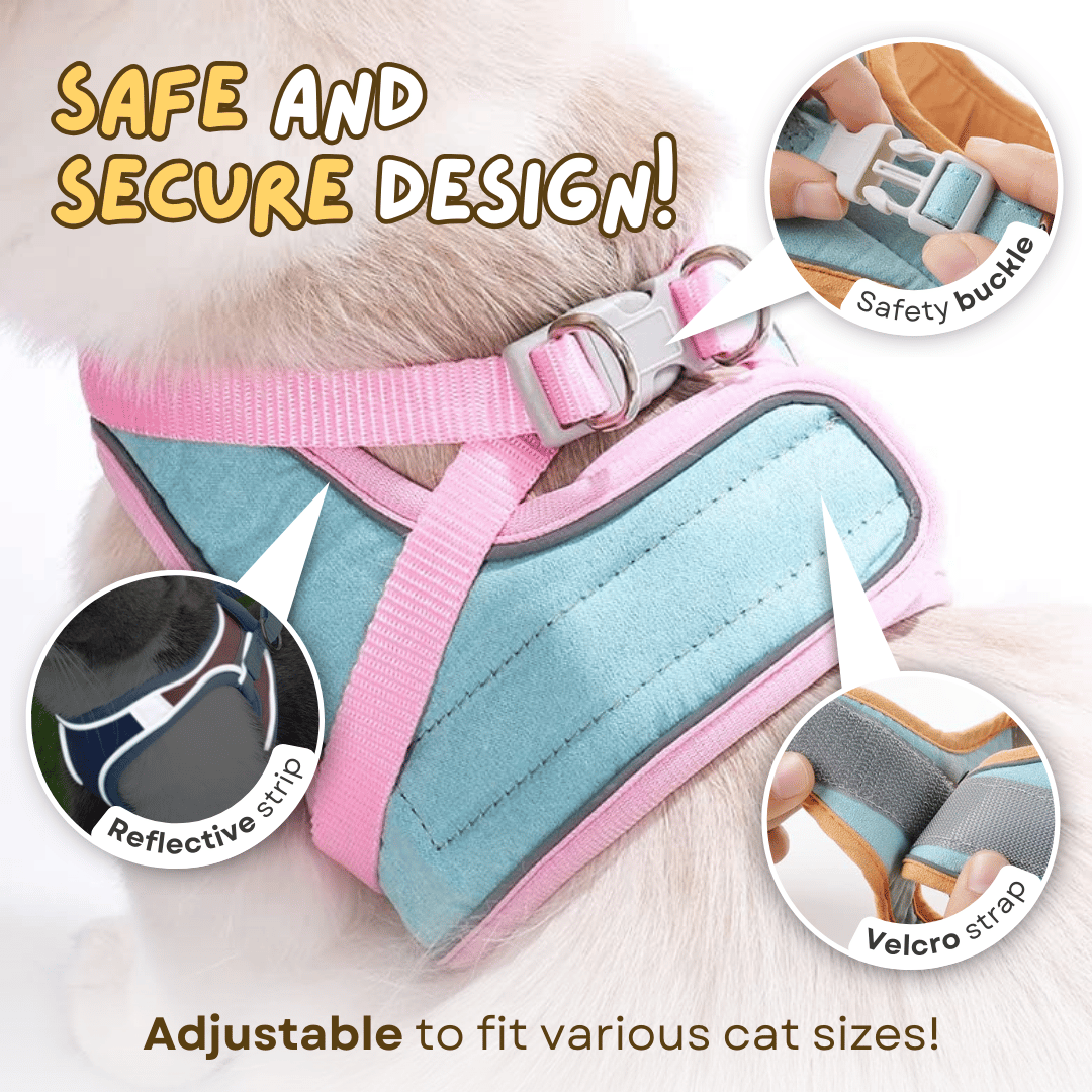 🔥Last Day Sale 50% OFF🔥Cat Harness & Leash-1