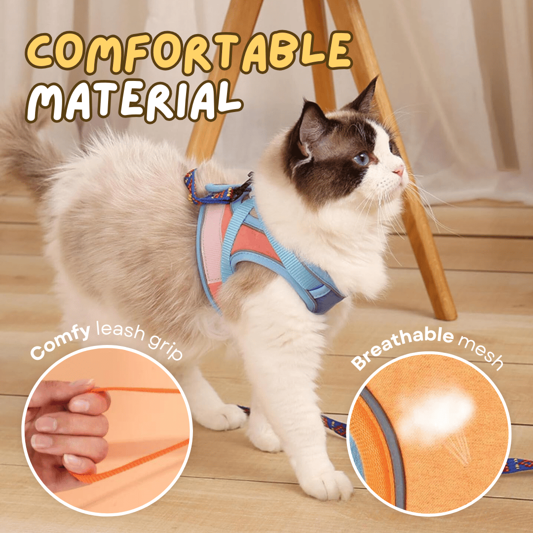 🔥Last Day Sale 50% OFF🔥Cat Harness & Leash-2