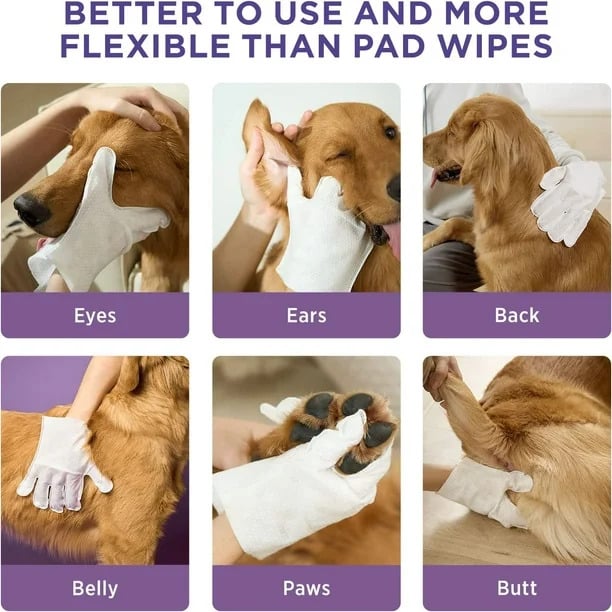 🔥HOT SALE 49% OFF🔥Deodorizing Pet Glove Wipes For Dogs（6Pcs）-2