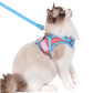 🔥Last Day Sale 50% OFF🔥Cat Harness & Leash-6
