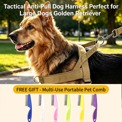 🏆LETZTER TAG DES SONDERANGEBOTS: NUR 9,99 €!!🎁✨Pawve™ No-Pull-Hundegeschirr – vom Tierarzt empfohlen: bequem, scheuerfrei und ausbruchsicher | Leicht, verstellbar und perfekt für jeden Spaziergang🐕
