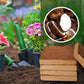 🎁Hot Sale 50% Off🌱Organic Coconut Coir for Plants-2