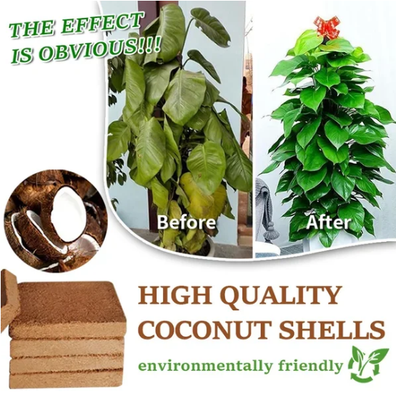 🎁Hot Sale 50% Off🌱Organic Coconut Coir for Plants-1