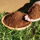 🎁Hot Sale 50% Off🌱Organic Coconut Coir for Plants-9
