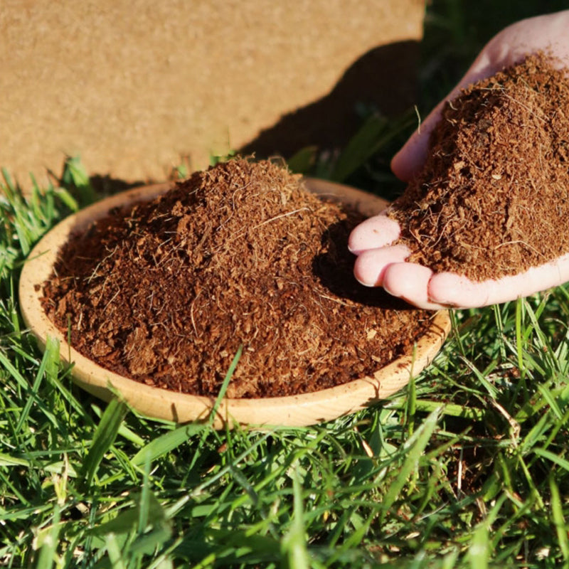 🎁Hot Sale 50% Off🌱Organic Coconut Coir for Plants-9