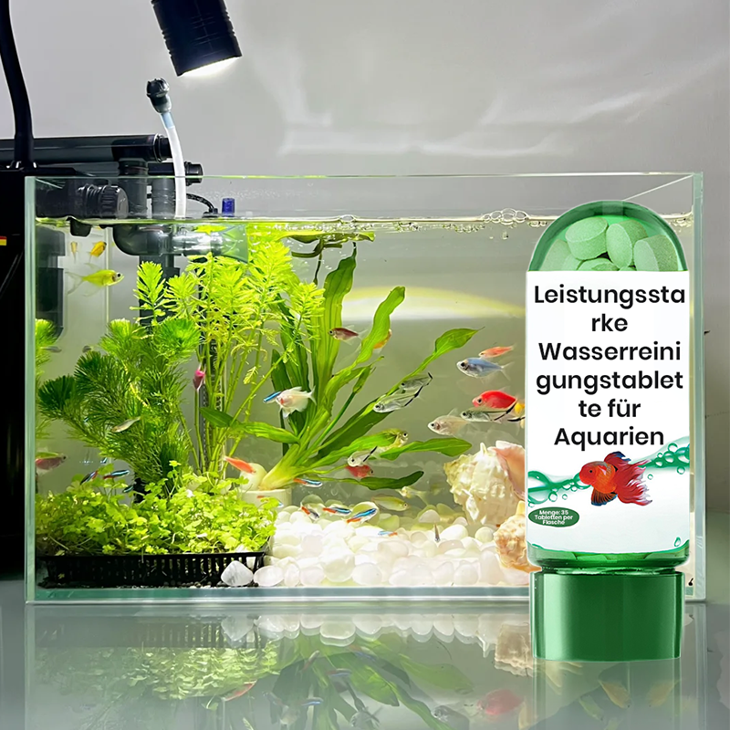 🔥BUY 1 GET 1 FREE🔥Powerful Aquarium Water Purification Tablet-12