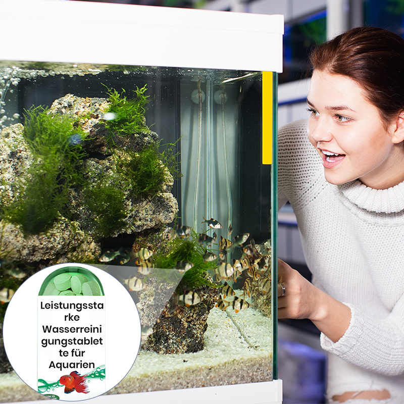 🔥BUY 1 GET 1 FREE🔥Powerful Aquarium Water Purification Tablet-13