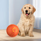 🐶WEIHNACHTSANGEBOT 50 % RABATT!!🐶Smart Interactive Dog Toy Bouncing Ball🐕️
