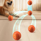 🐶WEIHNACHTSANGEBOT 50 % RABATT!!🐶Smart Interactive Dog Toy Bouncing Ball🐕️