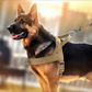 🏆LETZTER TAG DES SONDERANGEBOTS: NUR 9,99 €!!🎁✨Pawve™ No-Pull-Hundegeschirr – vom Tierarzt empfohlen: bequem, scheuerfrei und ausbruchsicher | Leicht, verstellbar und perfekt für jeden Spaziergang🐕