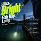 🔔 NUR HEUTE: 50 %🎣💡 Angel-LED-Leuchte – wasserdicht, extrahell für Nachtangeln 🌊🔦 Kompakt, clip-on, 4 Farben, Ködersichtbarkeit verbessern – ideal für Boot & Ufer.