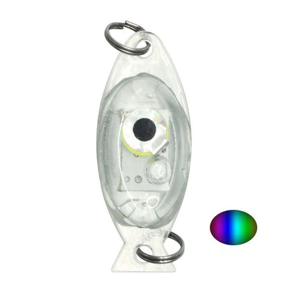 🔔 NUR HEUTE: 50 %🎣💡 Angel-LED-Leuchte – wasserdicht, extrahell für Nachtangeln 🌊🔦 Kompakt, clip-on, 4 Farben, Ködersichtbarkeit verbessern – ideal für Boot & Ufer.